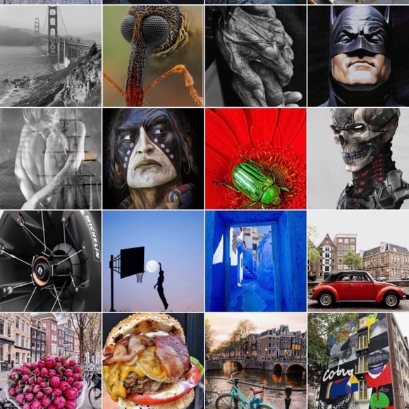 Meet your Posher, Ogee - Picture 2 of 15